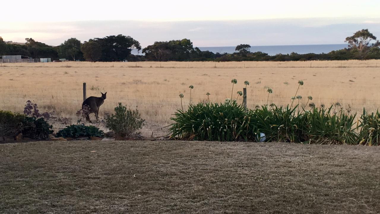Emu Bay Bee'S Place - 3 Bedroom Home On 10 Acres Of Land With Distant Ocean Views מראה חיצוני תמונה